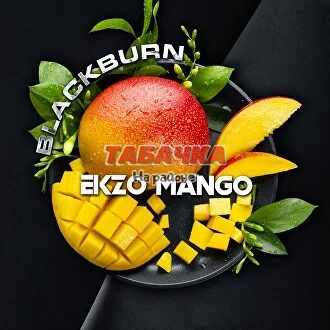 Табак для кальяна Black Burn Ekzo Mango (Манго) 100 гр.