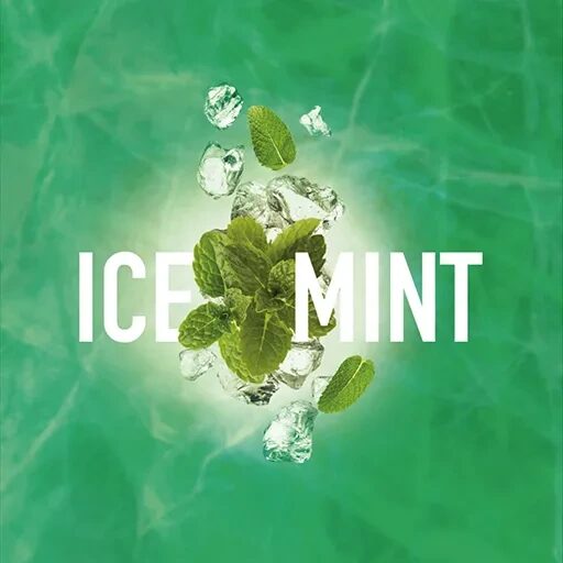 Табак для кальяна Must Have Ice Mint (Ледяная Мята) 125 гр.